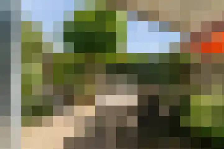 Salamanderpad 2 Delft thumbnail 11
