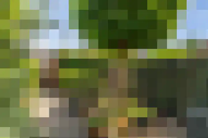 Salamanderpad 2 Delft thumbnail 12