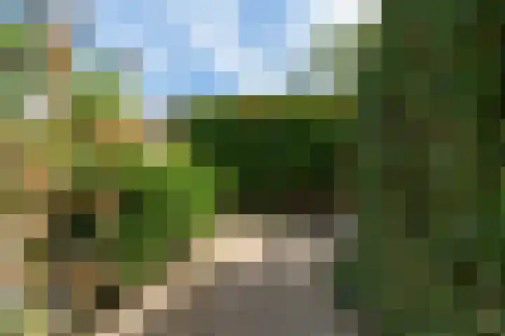 Salamanderpad 2 Delft thumbnail 17