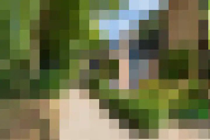 Salamanderpad 2 Delft thumbnail 5