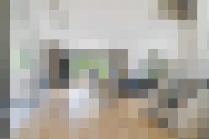 Salamanderpad 2 Delft thumbnail 8