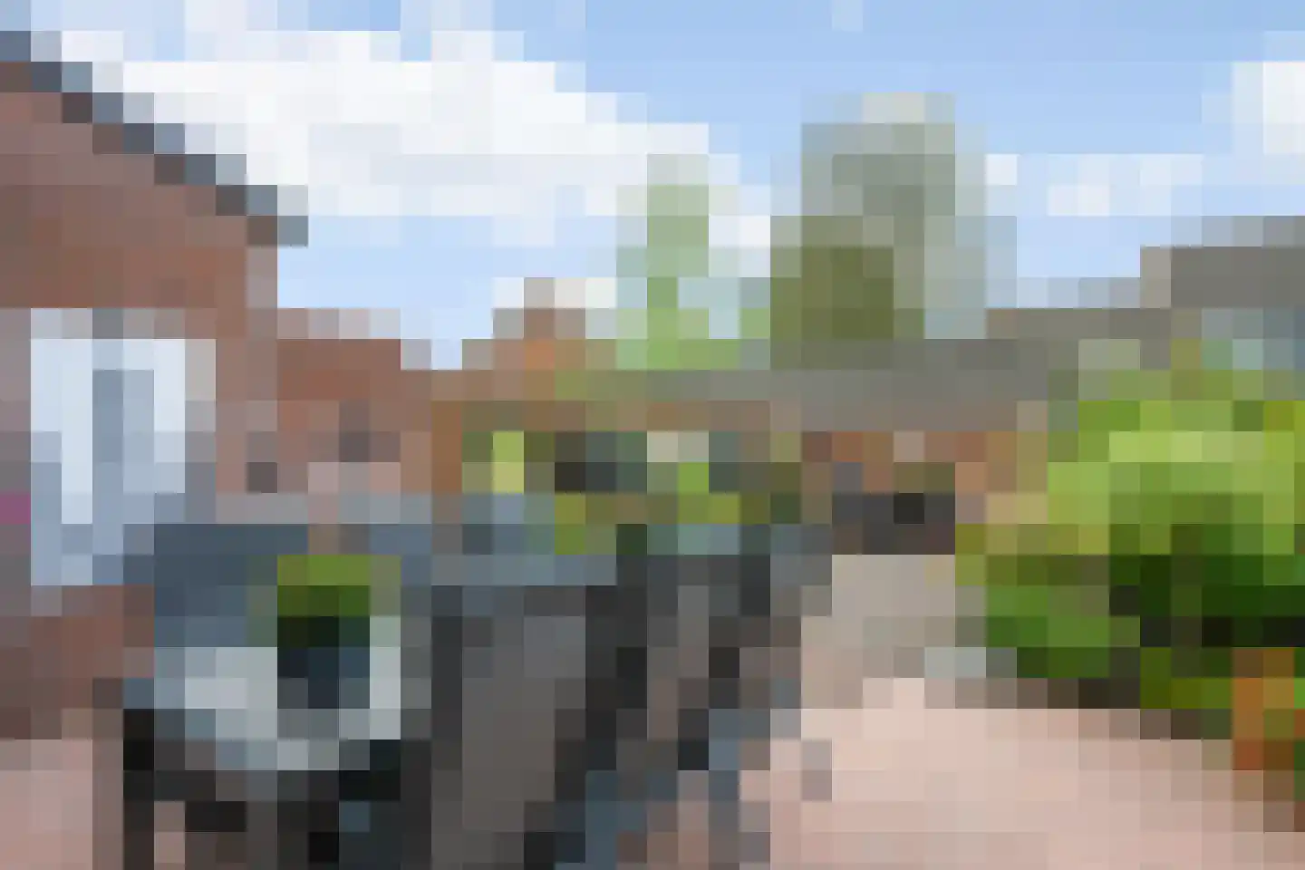 Salamandersloot 10 Houten thumbnail 11