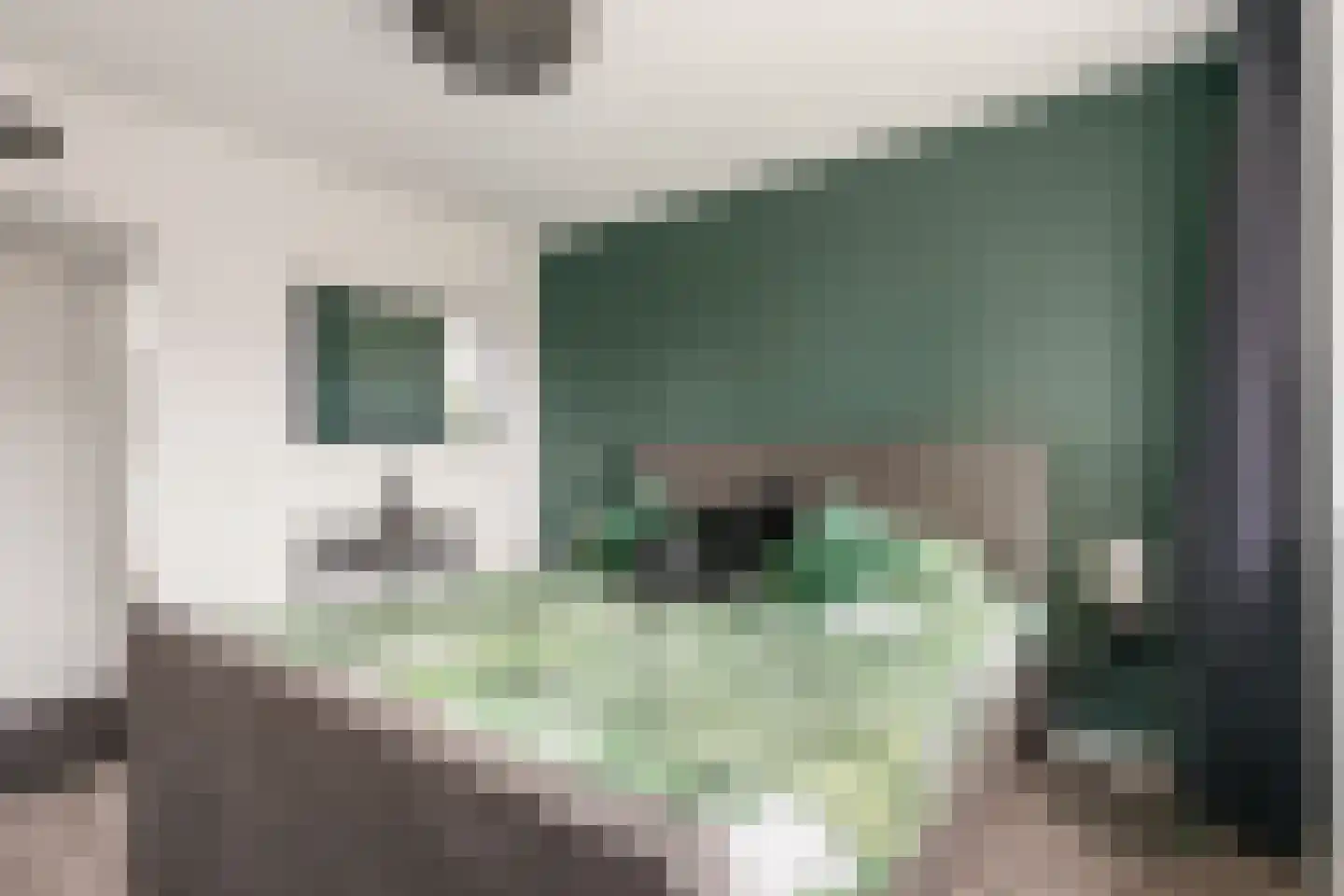 Salamandersloot 10 Houten thumbnail 15