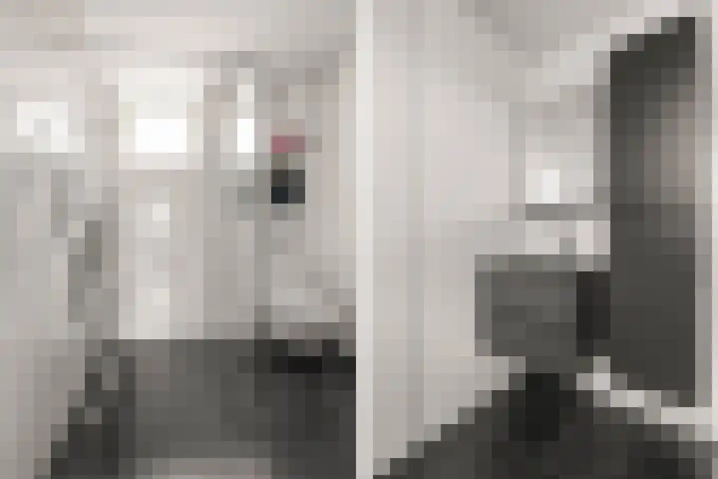 Salamandersloot 10 Houten thumbnail 19