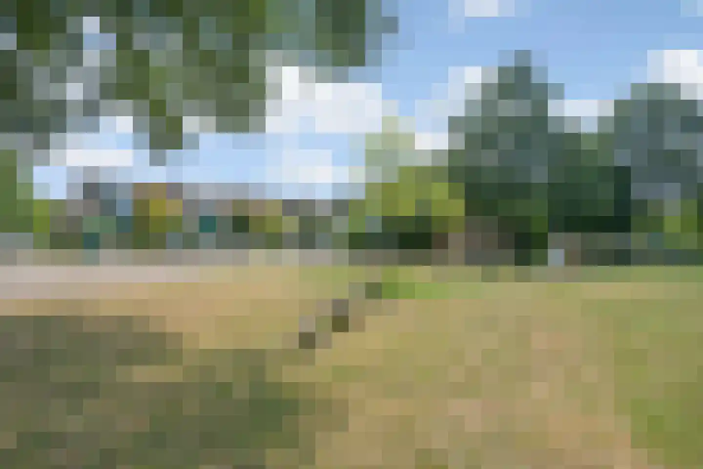 Salamandersloot 10 Houten thumbnail 26