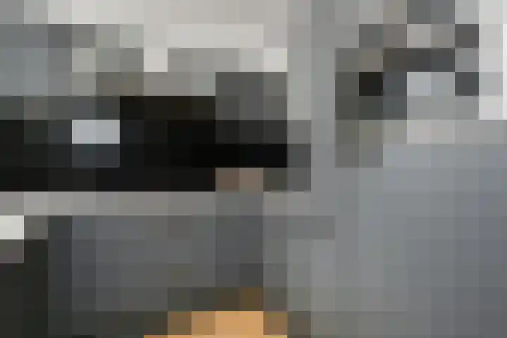 Salamandersloot 40 Zoetermeer thumbnail 22