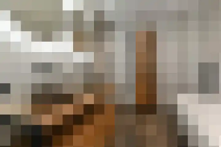 Salamandersloot 40 Zoetermeer thumbnail 25