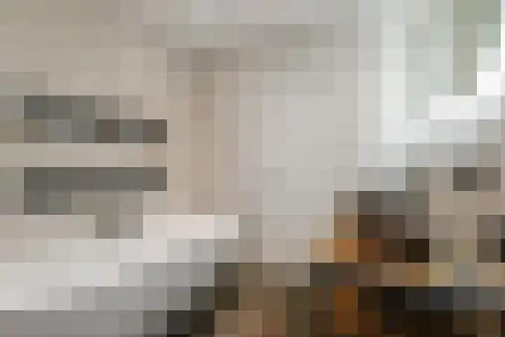 Salamandersloot 40 Zoetermeer thumbnail 29