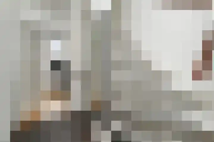 Salamandersloot 40 Zoetermeer thumbnail 31