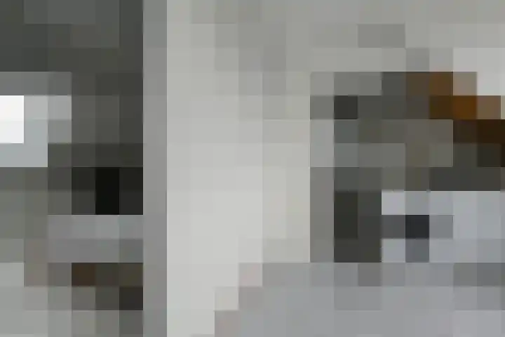 Salamandersloot 40 Zoetermeer thumbnail 37