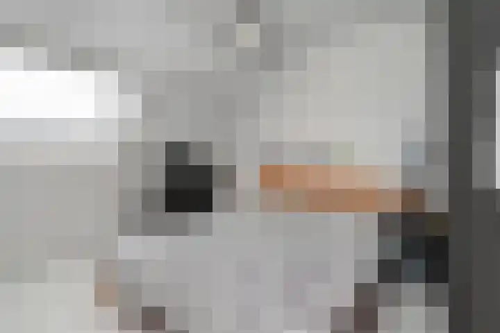Salamandersloot 40 Zoetermeer thumbnail 45