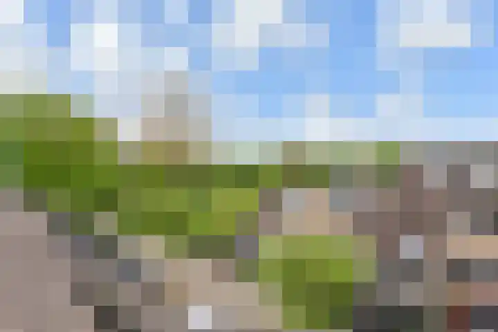 Salamandersloot 40 Zoetermeer thumbnail 50