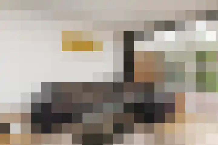 Salamandersloot 40 Zoetermeer thumbnail 6