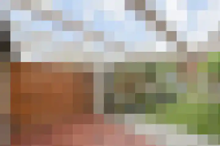 Salamandersloot 40 Zoetermeer thumbnail 7