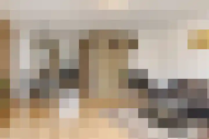 Salamandersloot 40 Zoetermeer thumbnail 9