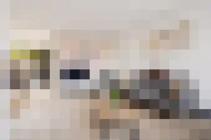 Salamandersloot 6 Houten thumbnail 10