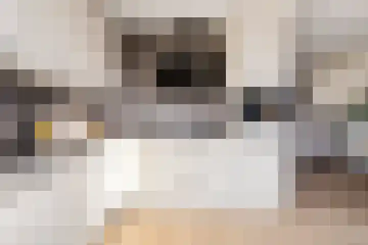Salamandersloot 6 Houten thumbnail 14