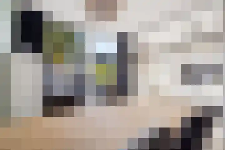 Salamandersloot 6 Houten thumbnail 16