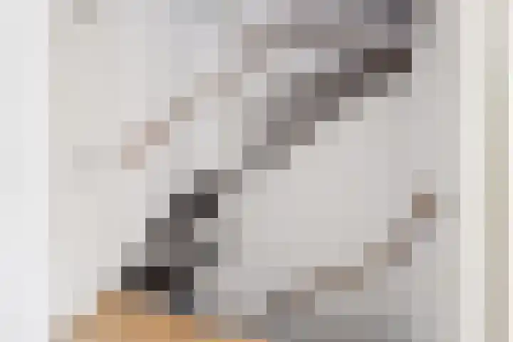 Salamandersloot 6 Houten thumbnail 19