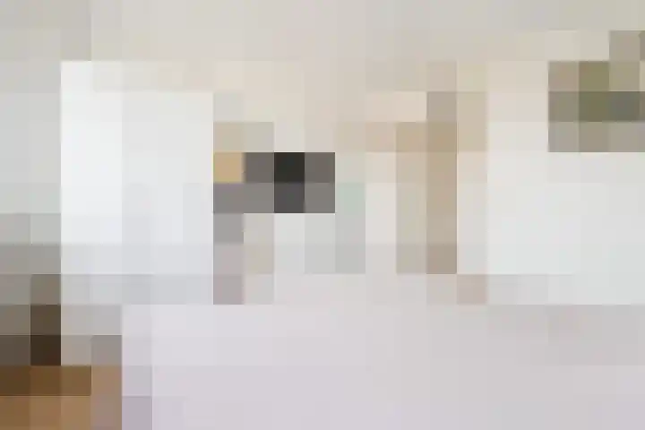 Salamandersloot 6 Houten thumbnail 21