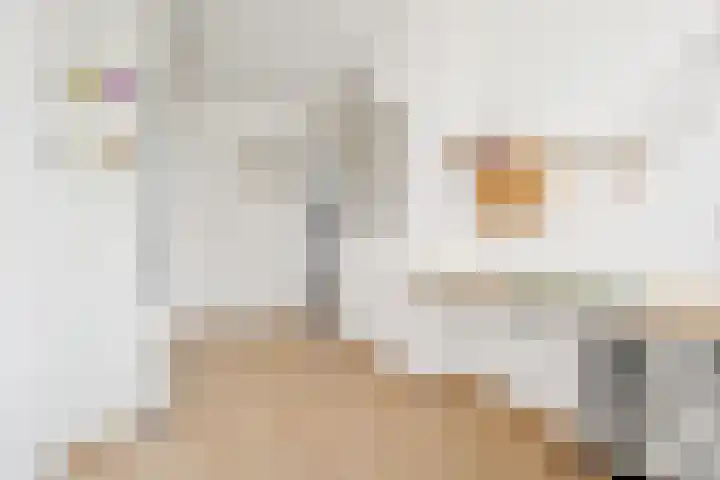 Salamandersloot 6 Houten thumbnail 25