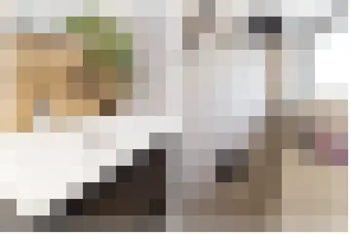 Salamandersloot 6 Houten thumbnail 28