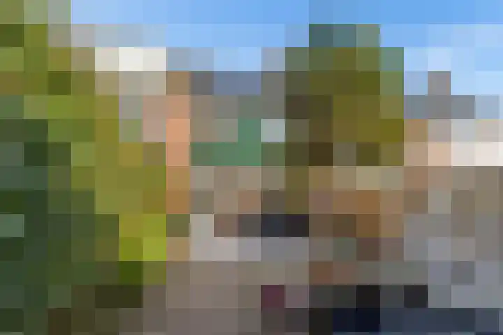 Salamandersloot 6 Houten thumbnail 34
