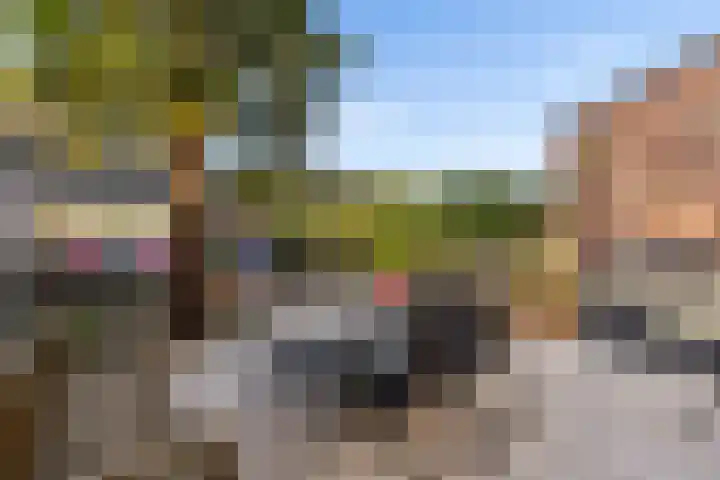Salamandersloot 6 Houten thumbnail 35