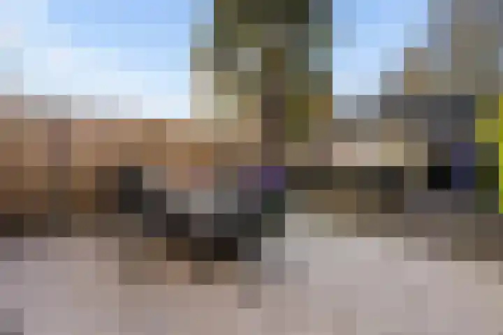 Salamandersloot 6 Houten thumbnail 36