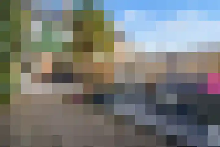 Salamandersloot 6 Houten thumbnail 37
