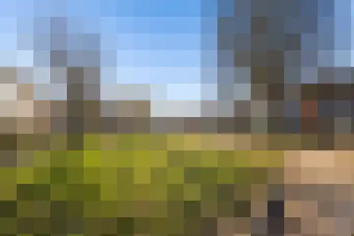 Salamandersloot 6 Houten thumbnail 45