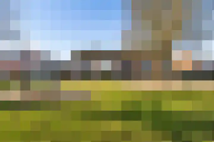 Salamandersloot 6 Houten thumbnail 46