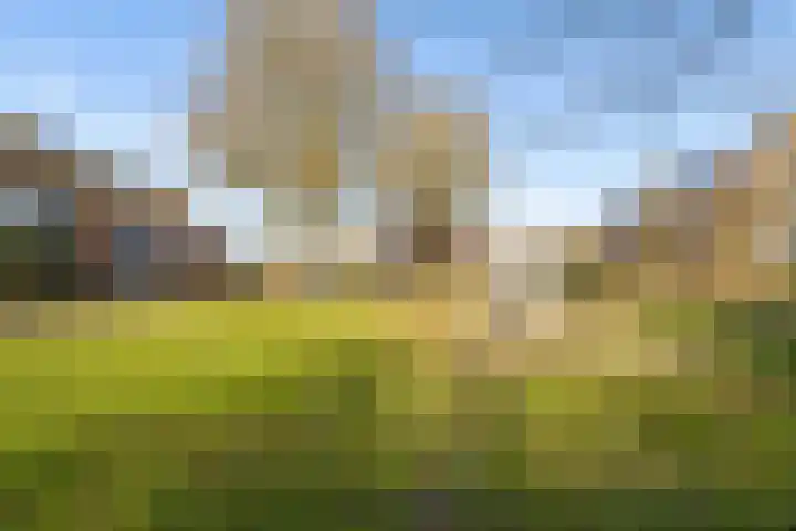 Salamandersloot 6 Houten thumbnail 47