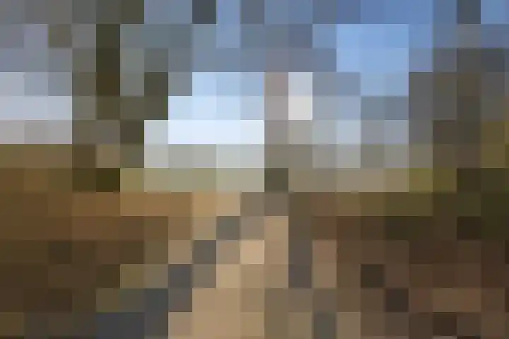 Salamandersloot 6 Houten thumbnail 48