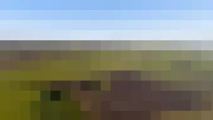Salamandersloot 6 Houten thumbnail 56