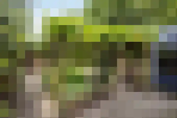 Salamanderstraat 10 Hengelo thumbnail 19