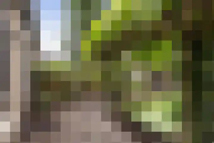 Salamanderstraat 10 Hengelo thumbnail 20