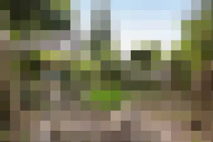Salamanderstraat 10 Hengelo thumbnail 25