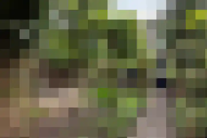 Salamanderstraat 10 Hengelo thumbnail 26