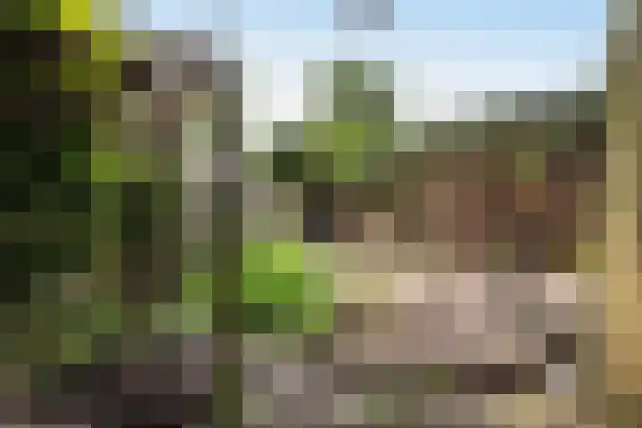 Salamanderstraat 10 Hengelo thumbnail 27