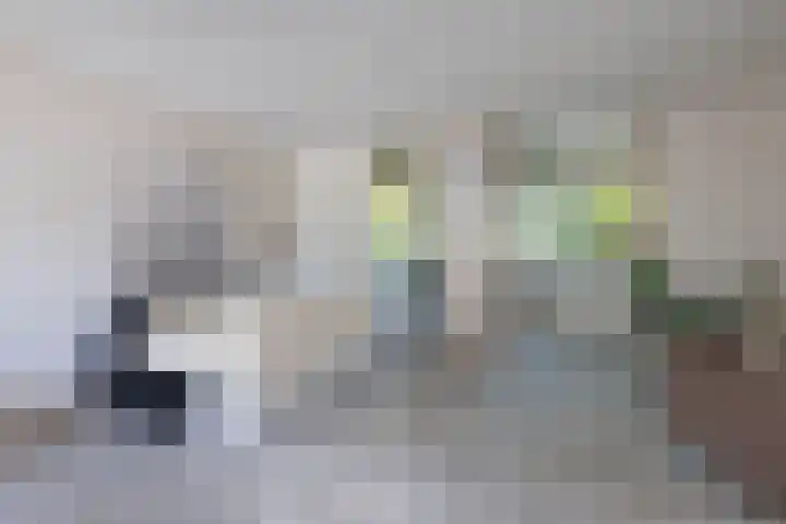Salamanderstraat 10 Hengelo thumbnail 7