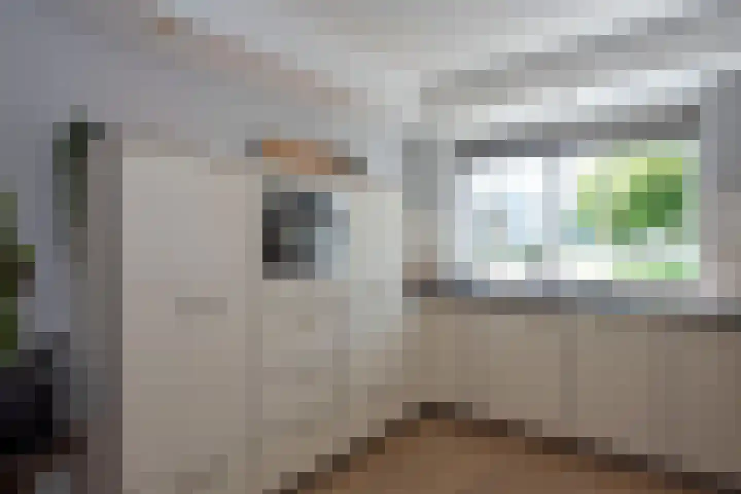 Salamanderstraat 12 Hengelo thumbnail 15