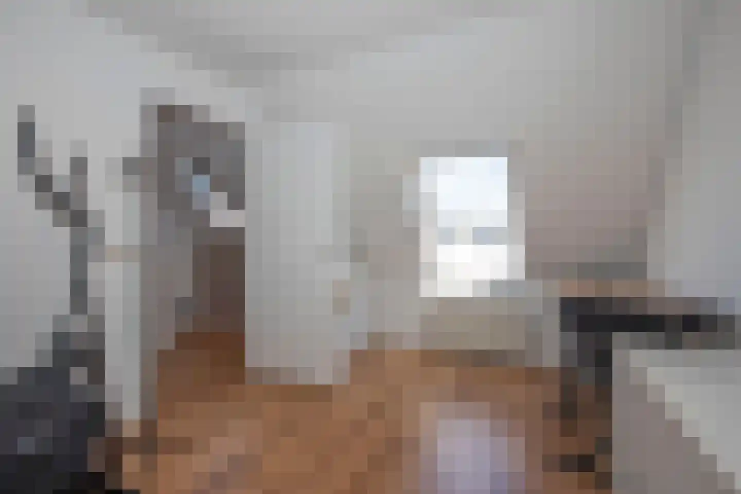 Salamanderstraat 12 Hengelo thumbnail 30