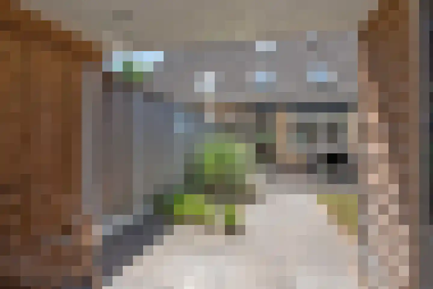 Salamanderstraat 12 Hengelo thumbnail 36
