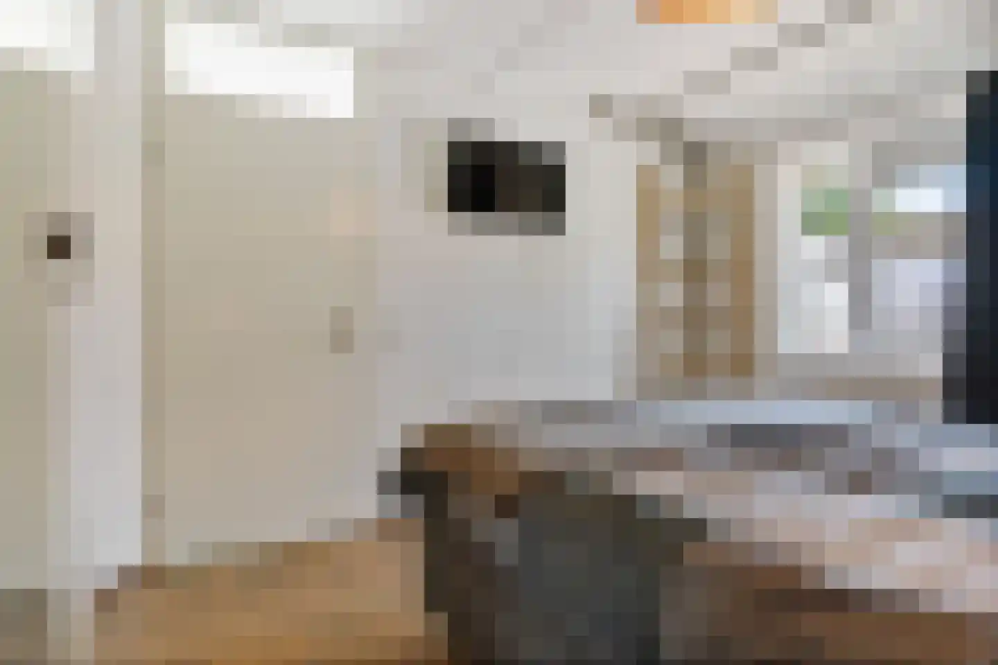 Salamanderstraat 173 Hengelo thumbnail 18