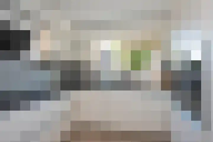 Salamanderstraat 18 Hengelo thumbnail 12