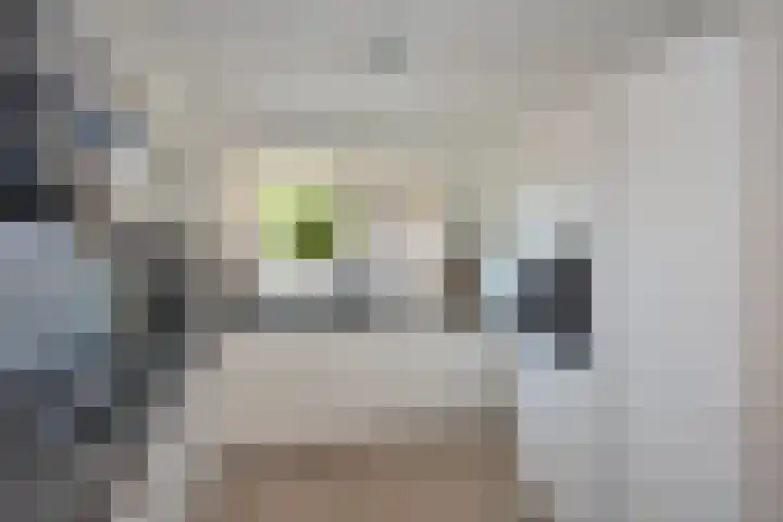 Salamanderstraat 18 Hengelo thumbnail 13