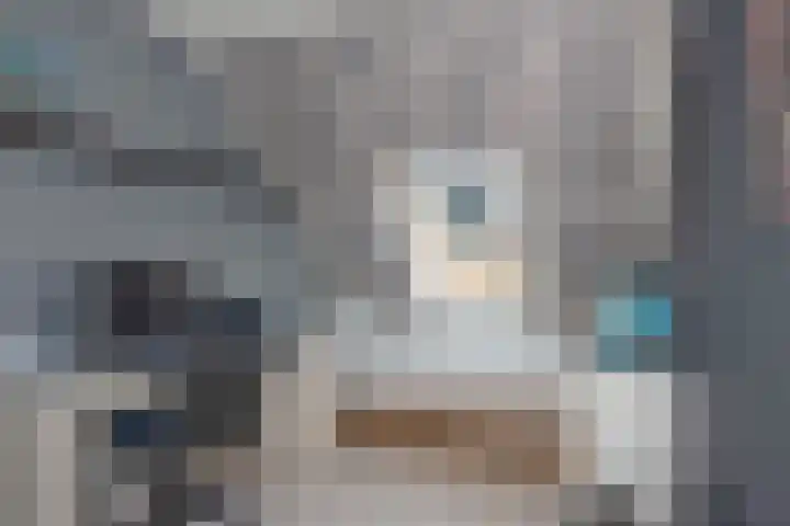 Salamanderstraat 18 Hengelo thumbnail 20
