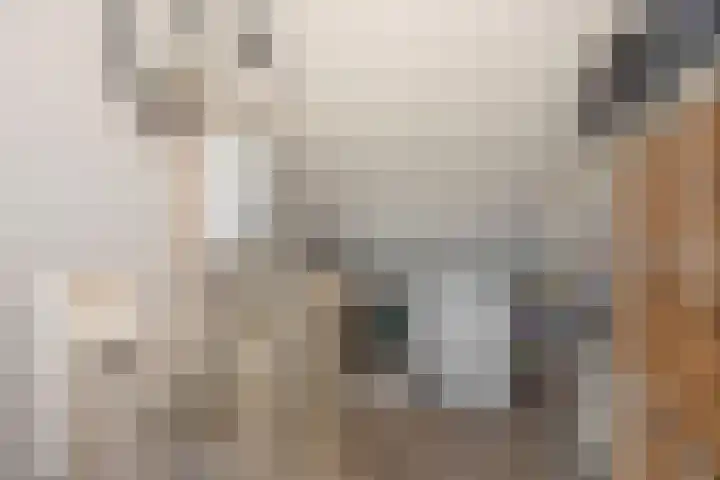 Salamanderstraat 18 Hengelo thumbnail 25