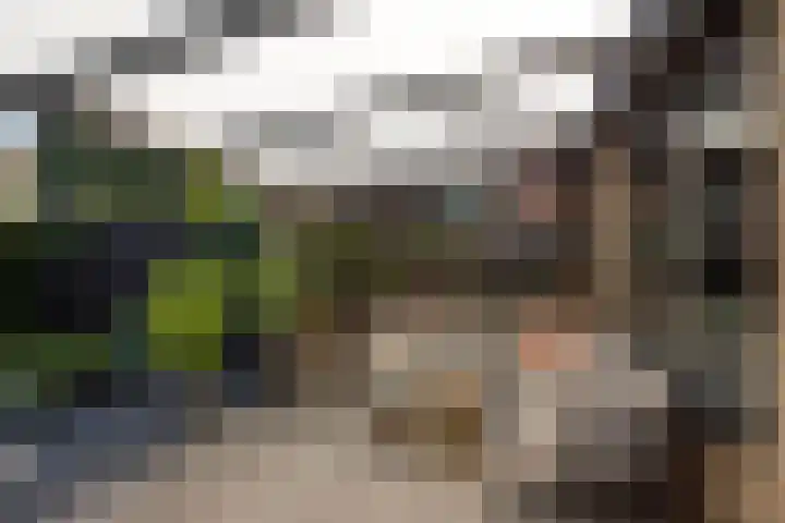 Salamanderstraat 18 Hengelo thumbnail 28